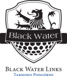 Black Water final logo